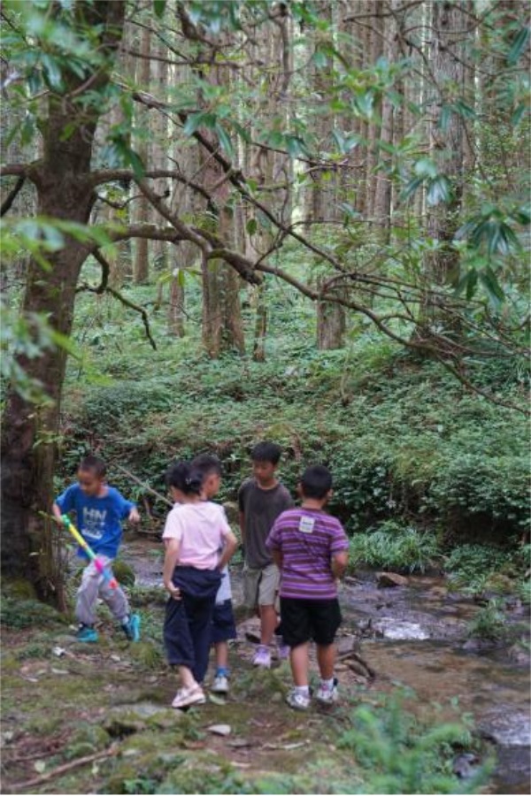 湖南天恒健律师事务所|长沙市优秀律师事务所|法律咨询|法律援助